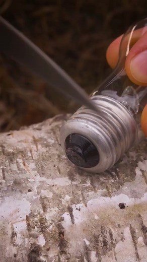 331K views · 1.7K reactions | Bushcraft skills in the woods #outdoors #bushcraft #survival #camping | Bushcraft Share | Facebook