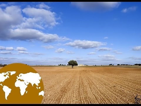 La Eduteca - El paisaje de llanura