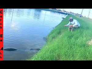 ALLIGATOR FISHING Gone WRONG!