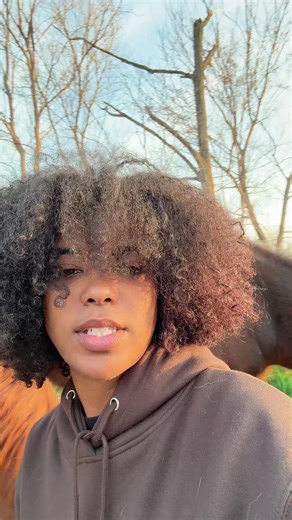 Update: The boys are doing good, the girl is stressing me out! #germanhusky #appendix #quarterhorse #tiredmom