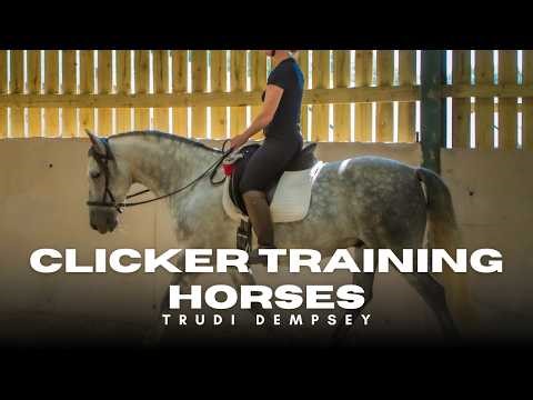 R+ based Mounting Block Training