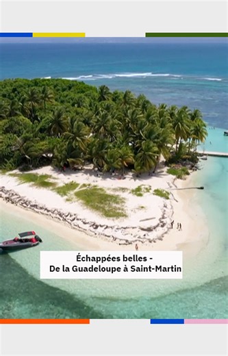 TV5MONDE Asia Pacific on Instagram: "Échappées belles - De la Guadeloupe à Saint-Martin⁣ 🌴 Bienvenue dans les Antilles françaises, à la découverte de deux territoires ultramarins aux trésors naturels multiples et variés...⁣ https://apac.tv5monde.com/fr/shows/222/live⁣ .⁣ .⁣ .⁣ #echappeesbelles #guadeloupe #Guadeloupetourisme #saintmartin #saintmartintourisme #tresorsnaturels #paysagesmagnifiques #CaribbeanJourney #SaintMartinIsland #TropicalVibes #IslandCulture #NatureExploration #TravelSeries