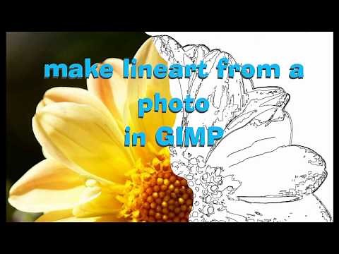 lineart from photo in gimp (NOT FOR UNDER 13S)