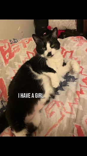 I probably cried about 3 times making this 😭🤣🩷