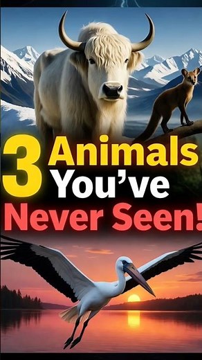 “3 Rare Animals You’ve Never Seen Before 😱 | Yak, Fossa & Jabiru Stork Facts | alphamatric01”