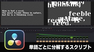 【DaVinci Resolve】TEXT+で英文を単語に分けるスクリプト【りぞりぷと2.5.4】