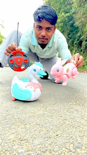 New Remote control 2ta Rc Duck Vs Rabbit unboxing Disi Dekho #shortsfeed