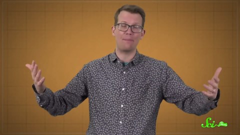 Whiteflies destroy crops thanks to a stolen plant gene | SciShow News