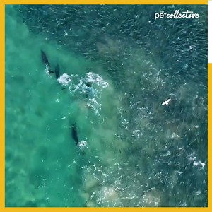 159K views · 1.5K reactions | Isn't that some mesmerizing view?  | Try Not to Laugh | Facebook