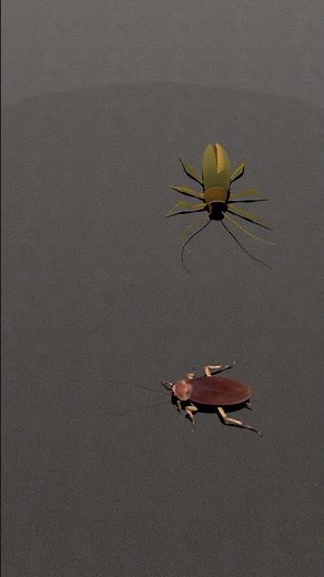 CAT GAMES | Cockroach for cats to watch 🪳 #cat #catgames #cats#cattv #meow #cockroach