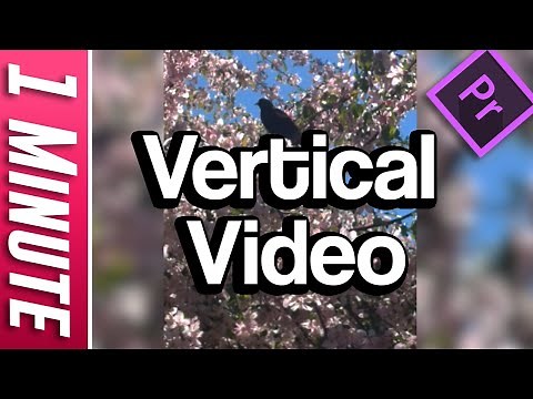 How to do Edit Vertical Video | Premiere Pro Tutorial