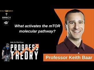 What activates the mTOR molecular pathway?
