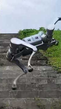 These Robot Dogs Can Literally Do EVERYTHING Now! 🔥