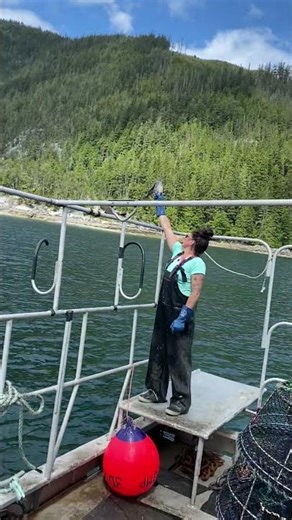 Hand feeding an eagle 🦅