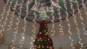 50K views · 15 reactions |  歷  ⛄ The Holiday Magic Starts Here: https://sportscenter242.com Visit us in Harbour Bay, Marathon Mall or Sandyport Plaza and get your holidays started. | The Sports Center | Facebook