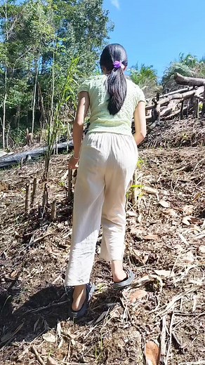 245K views · 2.5K reactions | Rabukng Sompekng bai' di sempak | Gadis Kampung | Facebook