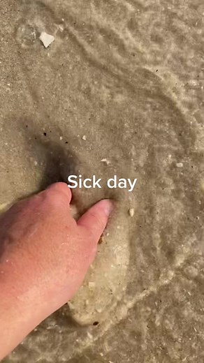 Exploring the Beauty of Sanibel Island Shells