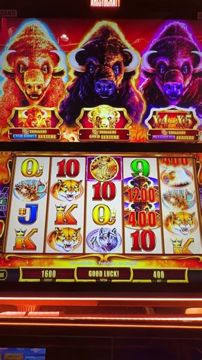 Day 8: How Much Can You Win Using Free Slot Play on Buffalo Machines?