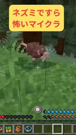 RLクラフト３日目 #rlクラフト#マイクラ #rlcraft #初心者実況 #マインクラフト