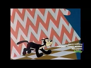 Discovery Family Continuity During Looney Tunes (December 5, 2023)