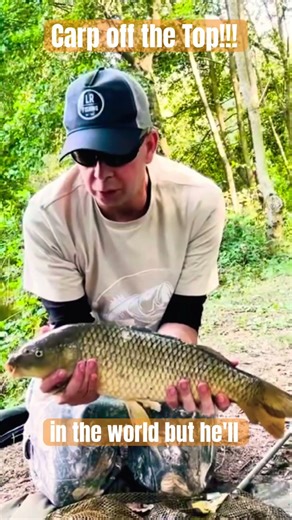 Carp Off The Top: Surface Fishing Magic #carp #carpfishing #coarsefishing #fishing