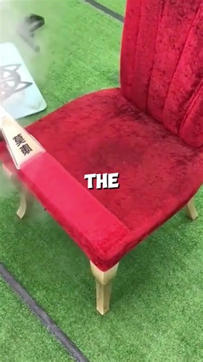 Understanding Dog Language: Communication with Your Pet