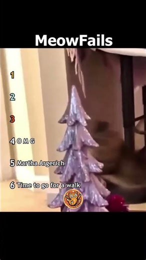 Ranking Best Cats Fails pt.32 | MeowFails #funny #cat