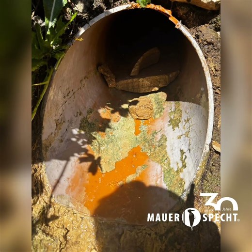 Drain-Jet Robotics® - trust grows through quality