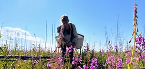 Vivre et apprendre dans des fermes bio et paysannes