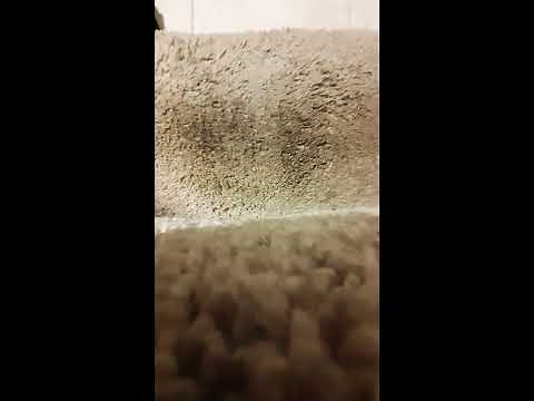 IT WORKED! Carpet Cleaner/LA's Totally Awesome Stain Remover/Dollar Tree Find