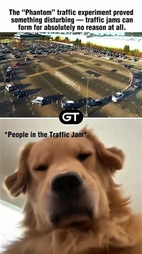 Traffic Jams Can Form for No Reason — This Experiment Proved It