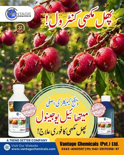 Fruit Flies Control by Vantage Chemicals | Protect Orchards & Increase Harvest
