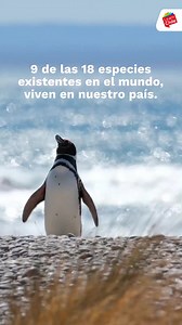 112K views · 1.4K reactions | ¿Sabías que Chile es el país con más...