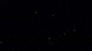 Stars Twinkling in a Field in the Dark Night