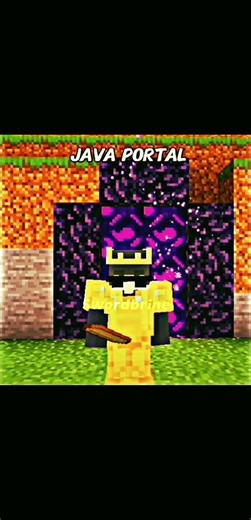 Java Portal vs Bedrock Portal 💀