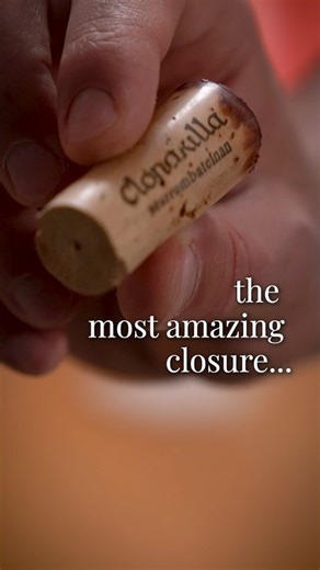 Got Somme: Master Sommelier Wine Podcast on Instagram: ""The perfect closure" Master Somm talks about the difference between screw cap and cork and the benefits of both. Also, cool story about where cork comes from thrown in for free (like everything else)"