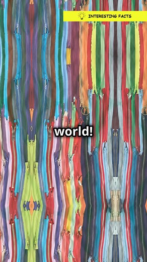 Why do zippers have tiny YKK letters? | Interesting Facts