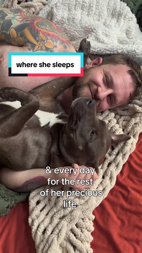 Faithy's Journey: From Foster Dog to Forever Home