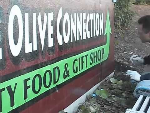 Wall Painted Sign, Step by step