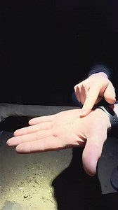 This attic in Grand Rapids, Michigan has an infestation of bats. Let's take a look. #bats #bat #batinfestation #batcolony #infestation #gross #pestcontrol #animalcontrol #animalremoval #wildanimals #homeowner #hometips #eww #ewww #gross #grosstiktok | Pest Badger