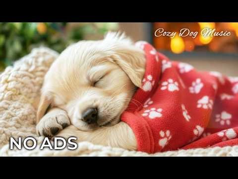 12 Hours Deep Sleep Music for Dogs 🐶🔥Calm Night Comfort & Home Alone Relief | NO ADS