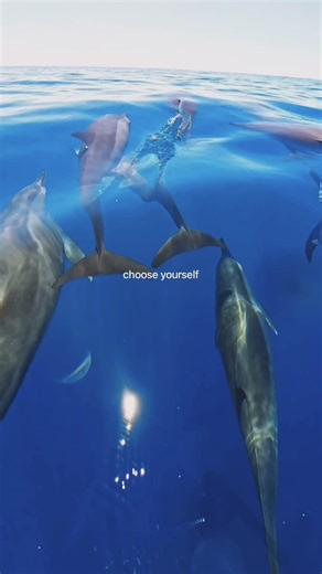 Diving Adventures in the Maldives