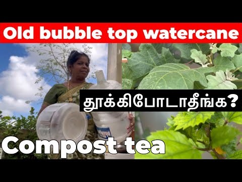 Homemade fertiliser for plants #reuse idea#liquid fertiliser#what are the benefits of using