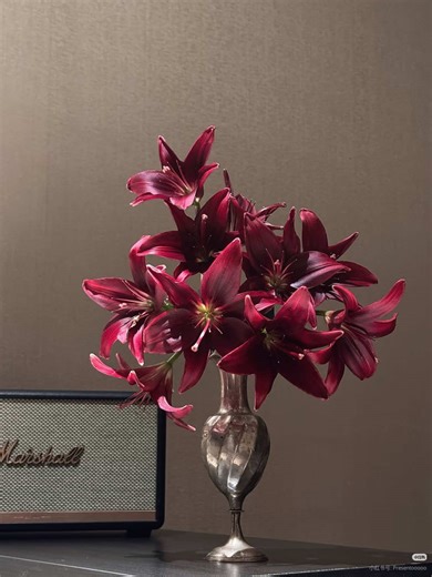 lez the label (@lez.the.label)’s videos with Pretty (Sped Up) - MEYY