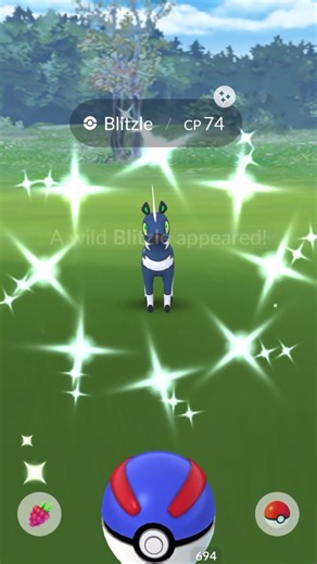 Shiny Blitzle Encounter in the Wild!