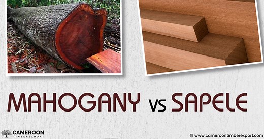 Mahogany vs Sapele: Comparison Based On Properties & Uses