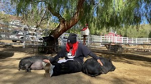 We keep books in the upper barnyard so that volunteers and guests can read to the animals 📚 Barry and Humble absolutely love it! | The Gentle Barn