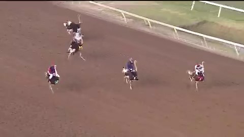 Look at that stride! My Eyes Are Up Here wins the Ostrich race at @RemingtonPark