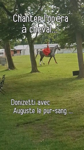 .... Chanter l'opéra à cheval... Dans le spectacle des 3 ténors, on fait des trucs foufous, comme chanter à cheval🐎 @augustelepursang @spectacleles3ténors@artemoise @catherinedune @didierhenry @emreCanKarayel @lesécuriesdelépi @100pursang @ericpetitImbert @xaviermauconduit @fabiositzia @lisegarnault @jeanpaulauville @damien @villedechantilly (Et on se retrouve le 25 Janvier, cette fois-ci au cinéma d'Orry la ville ! ) #cheval #chevalpassion #PurSang #pursangréformé #reddress #opera #operasinger