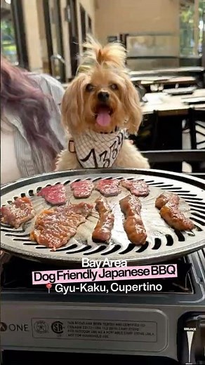 Japanese BBQ Gyu-Kaku — dog friendly restaurant
